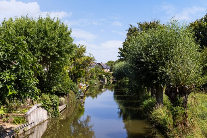 Foto 63 van Boterbloemweide 35