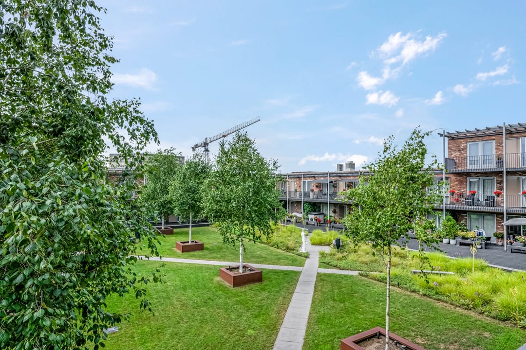 Foto 28 van Kees Stipplein 34