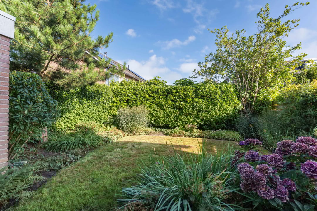 Photo 37 of Linde 11