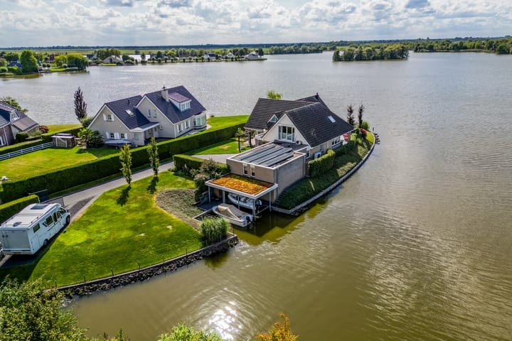 Knobbelzwaan 23 main image