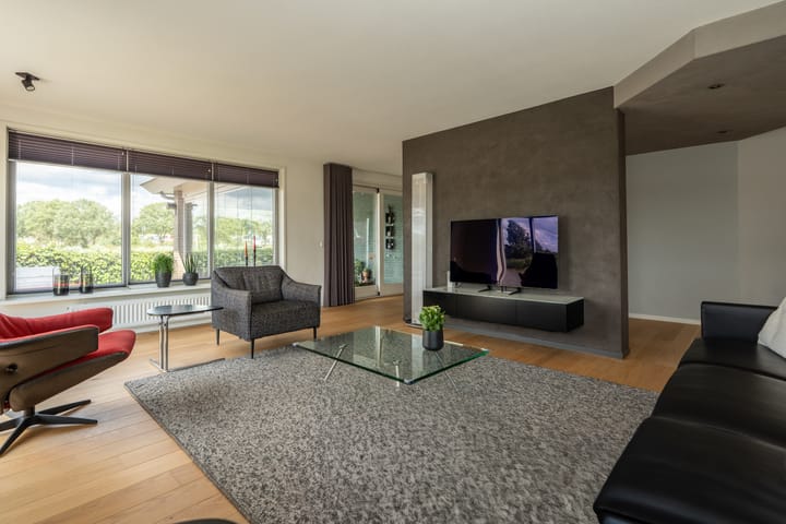 Foto 3 van Knobbelzwaan 23