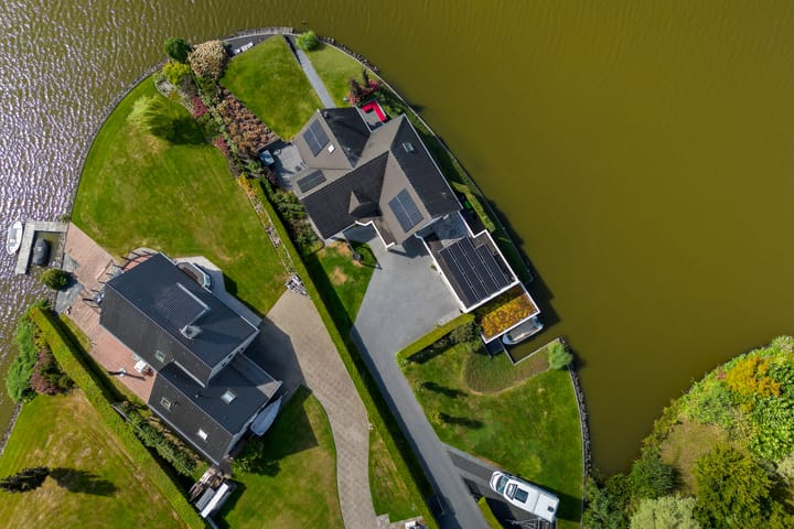 Foto 4 van Knobbelzwaan 23