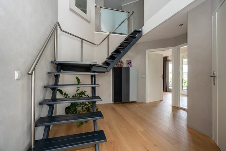 Foto 5 van Knobbelzwaan 23