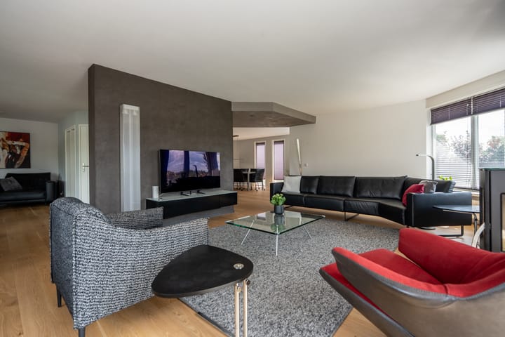 Foto 7 van Knobbelzwaan 23