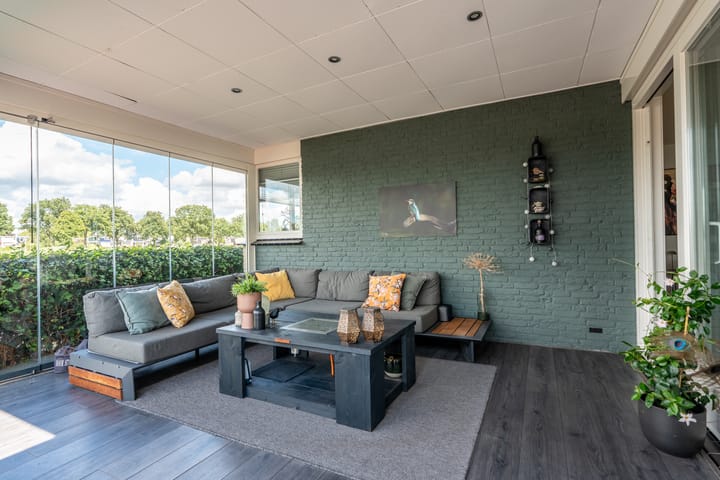 Foto 10 van Knobbelzwaan 23