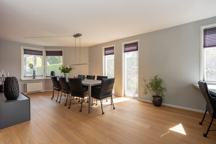 Foto 11 van Knobbelzwaan 23