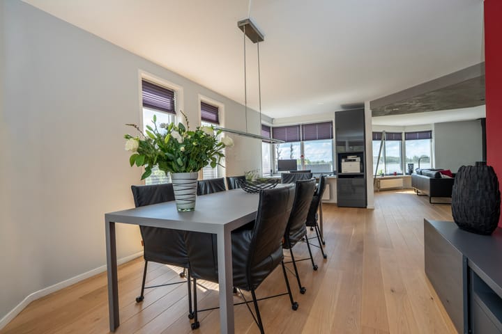 Foto 12 van Knobbelzwaan 23