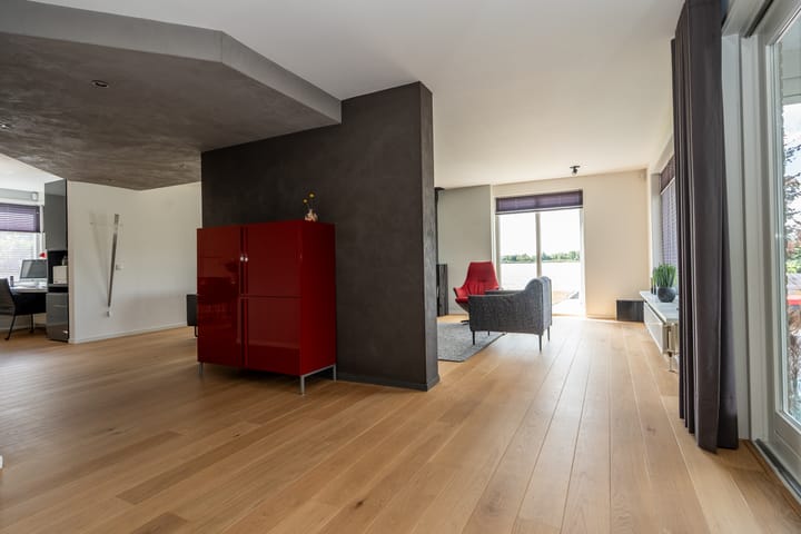 Foto 14 van Knobbelzwaan 23