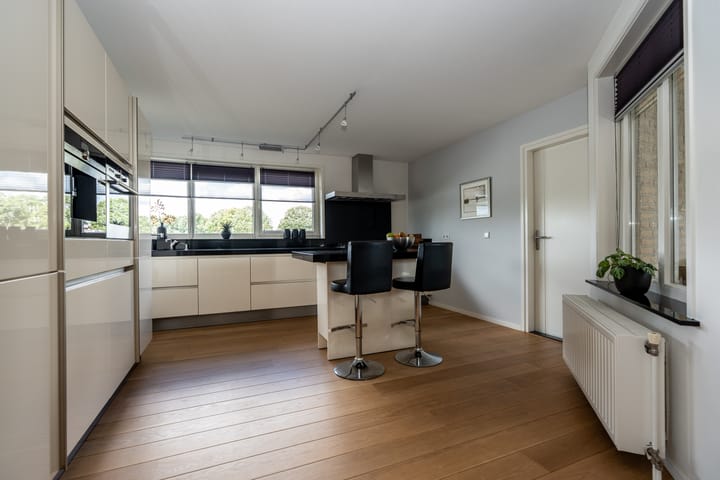 Foto 15 van Knobbelzwaan 23