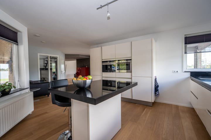 Foto 18 van Knobbelzwaan 23