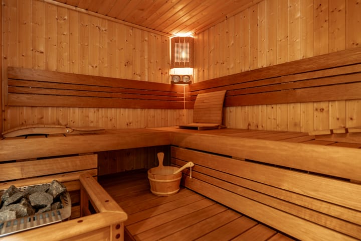 Foto 23 van Knobbelzwaan 23