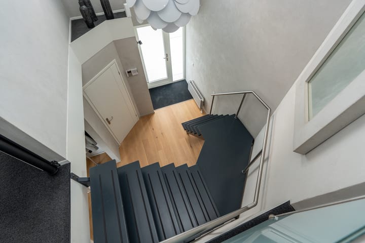 Foto 26 van Knobbelzwaan 23