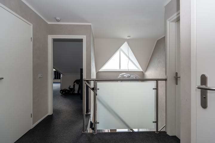 Foto 27 van Knobbelzwaan 23