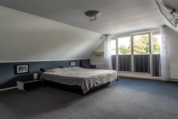 Foto 28 van Knobbelzwaan 23