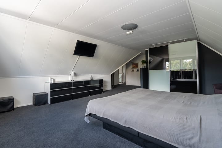 Foto 29 van Knobbelzwaan 23