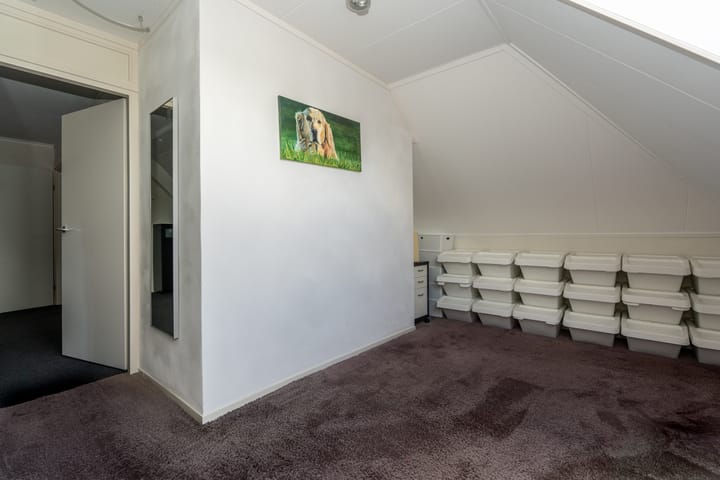 Foto 30 van Knobbelzwaan 23