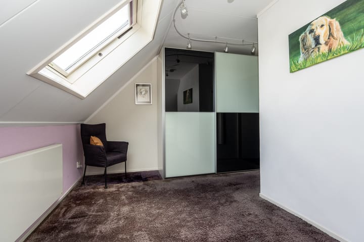 Foto 31 van Knobbelzwaan 23