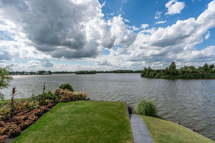 Foto 35 van Knobbelzwaan 23