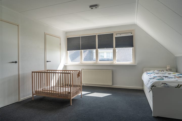 Foto 37 van Knobbelzwaan 23