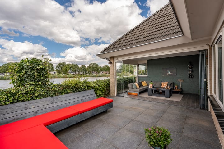 Foto 41 van Knobbelzwaan 23