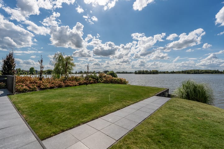 Foto 42 van Knobbelzwaan 23