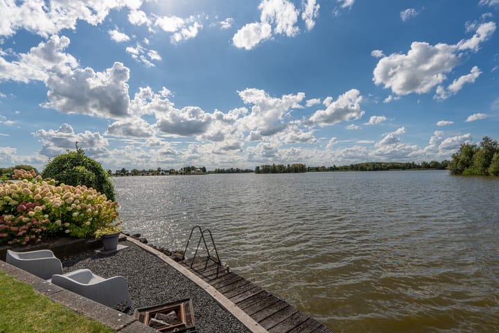 Foto 44 van Knobbelzwaan 23