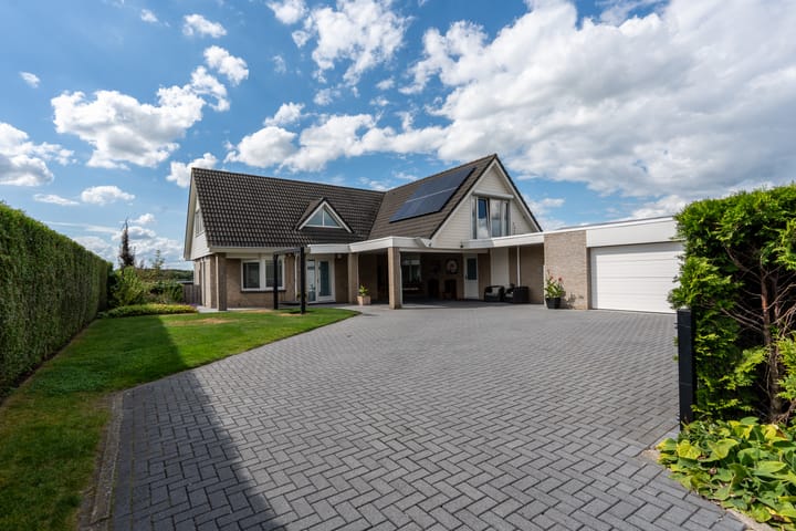 Foto 46 van Knobbelzwaan 23