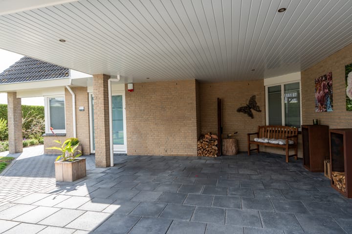 Foto 47 van Knobbelzwaan 23