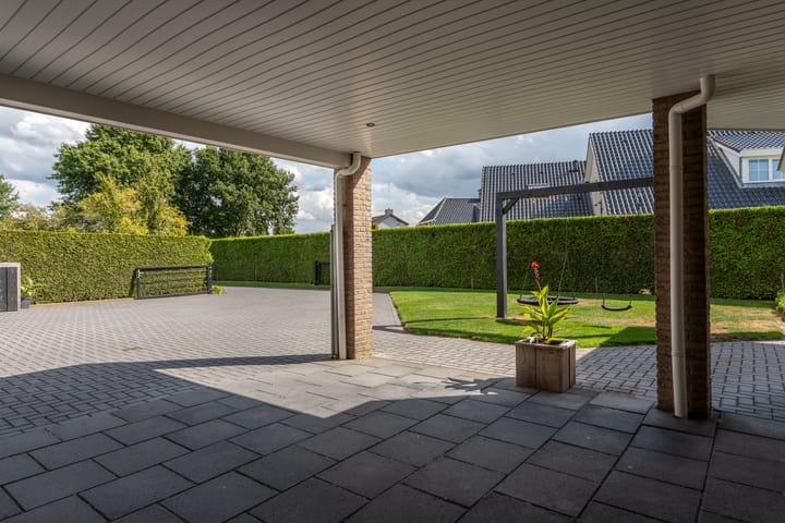 Foto 48 van Knobbelzwaan 23