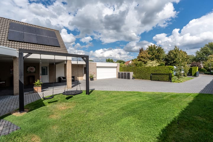 Foto 49 van Knobbelzwaan 23