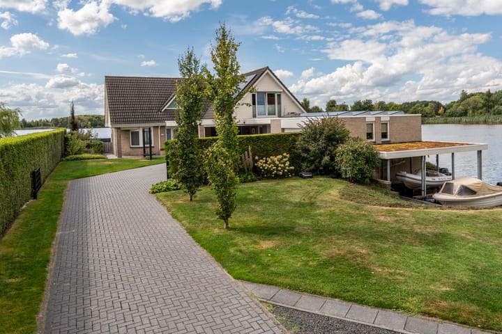 Foto 50 van Knobbelzwaan 23