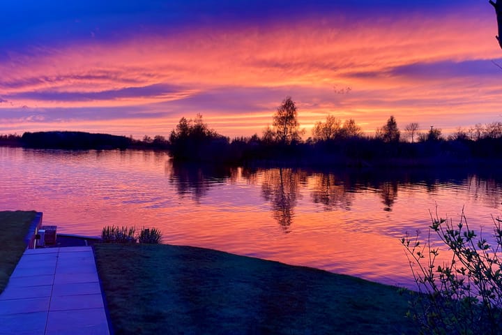 Foto 53 van Knobbelzwaan 23