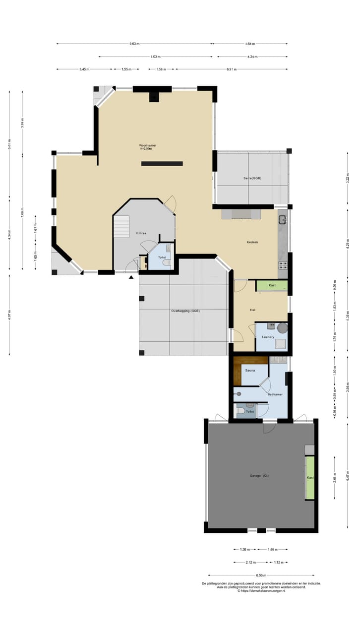 Foto 54 van Knobbelzwaan 23