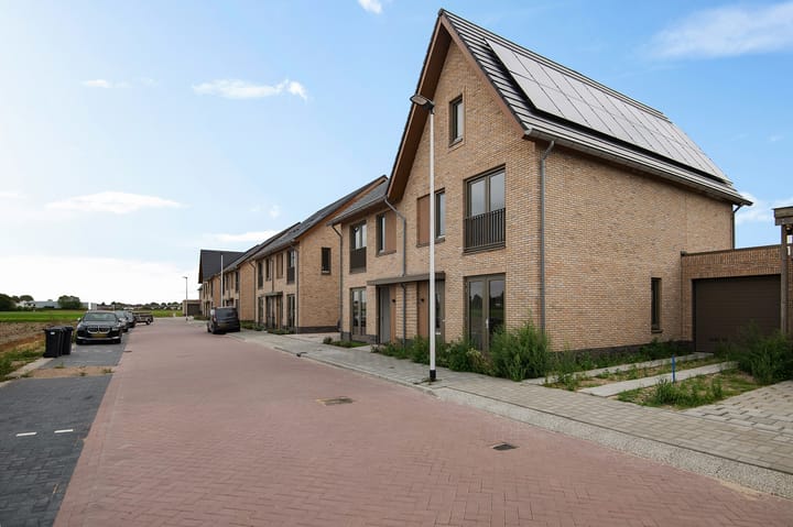 Foto 2 van Pioentulp 97