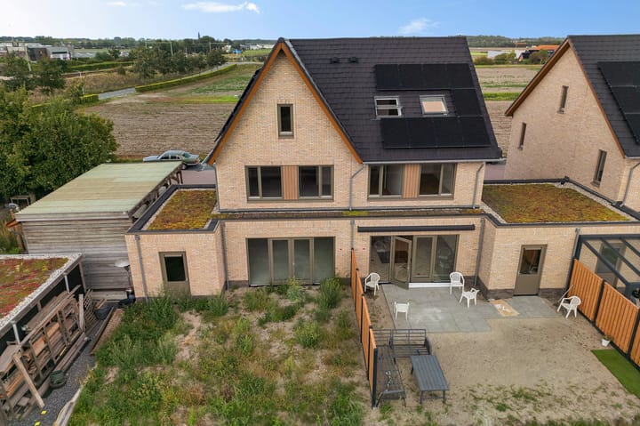 Foto 3 van Pioentulp 97