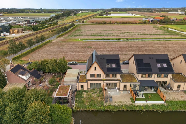 Foto 4 van Pioentulp 97