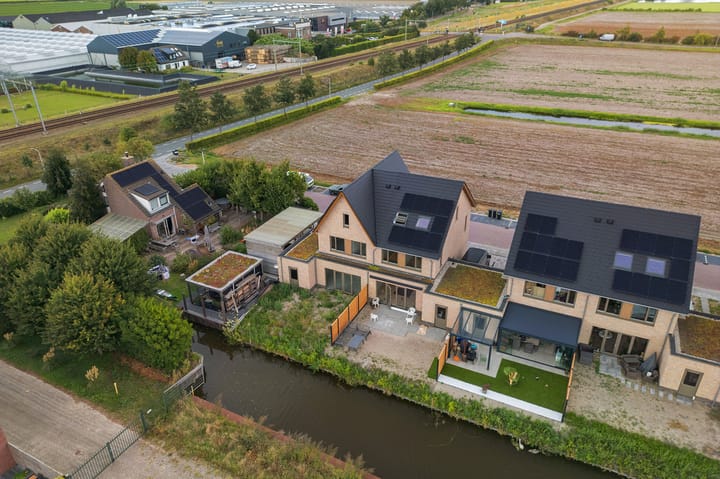 Foto 5 van Pioentulp 97