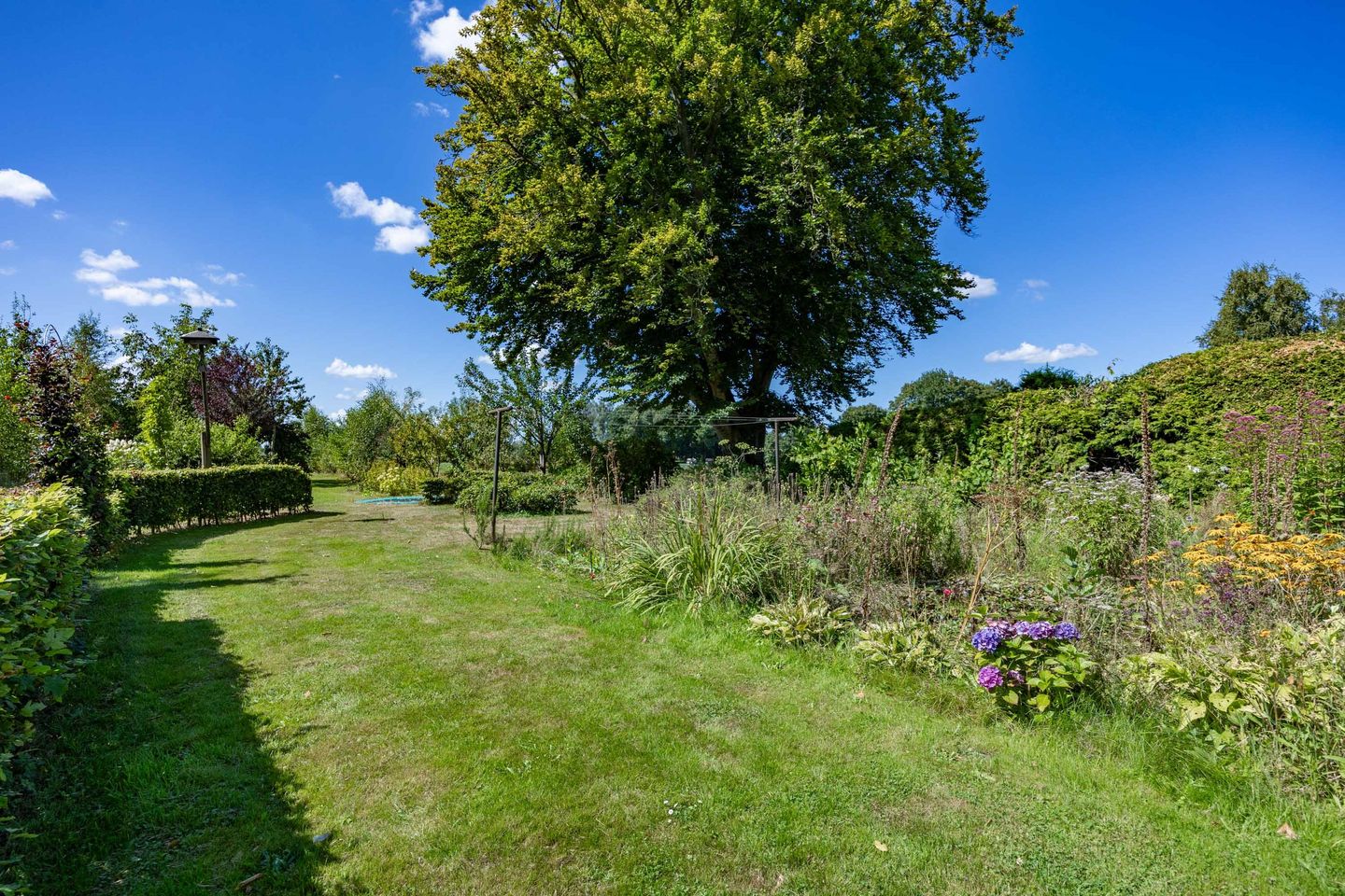 Photo 89 of Boelewijk 5