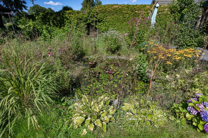 Foto 90 van Boelewijk 5