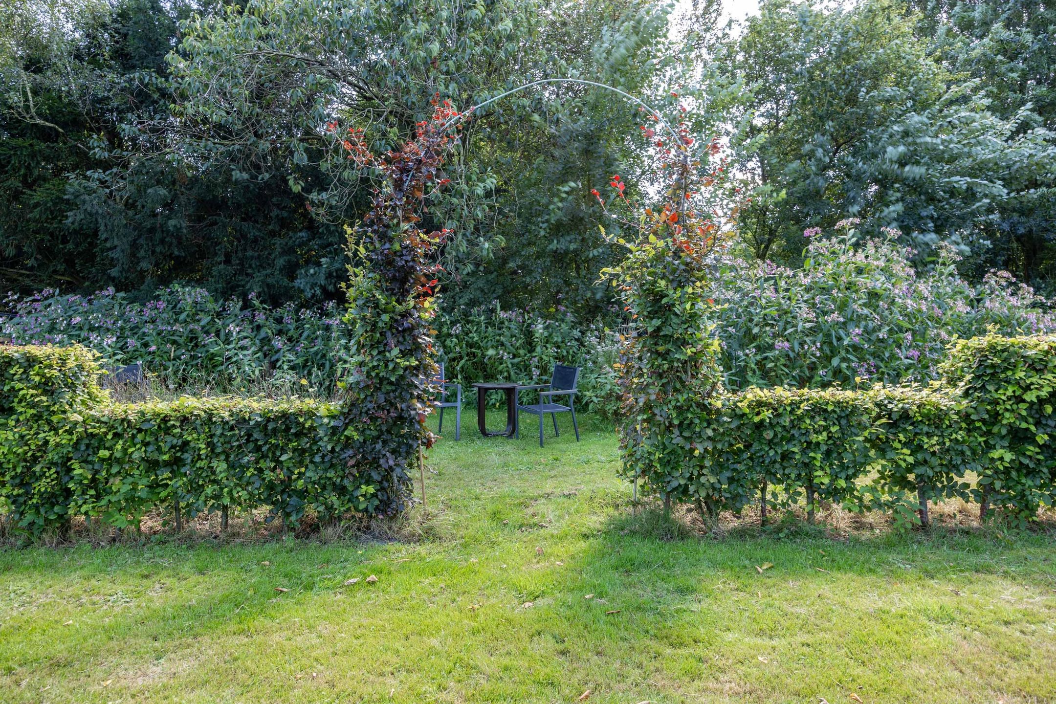 Photo 93 of Boelewijk 5