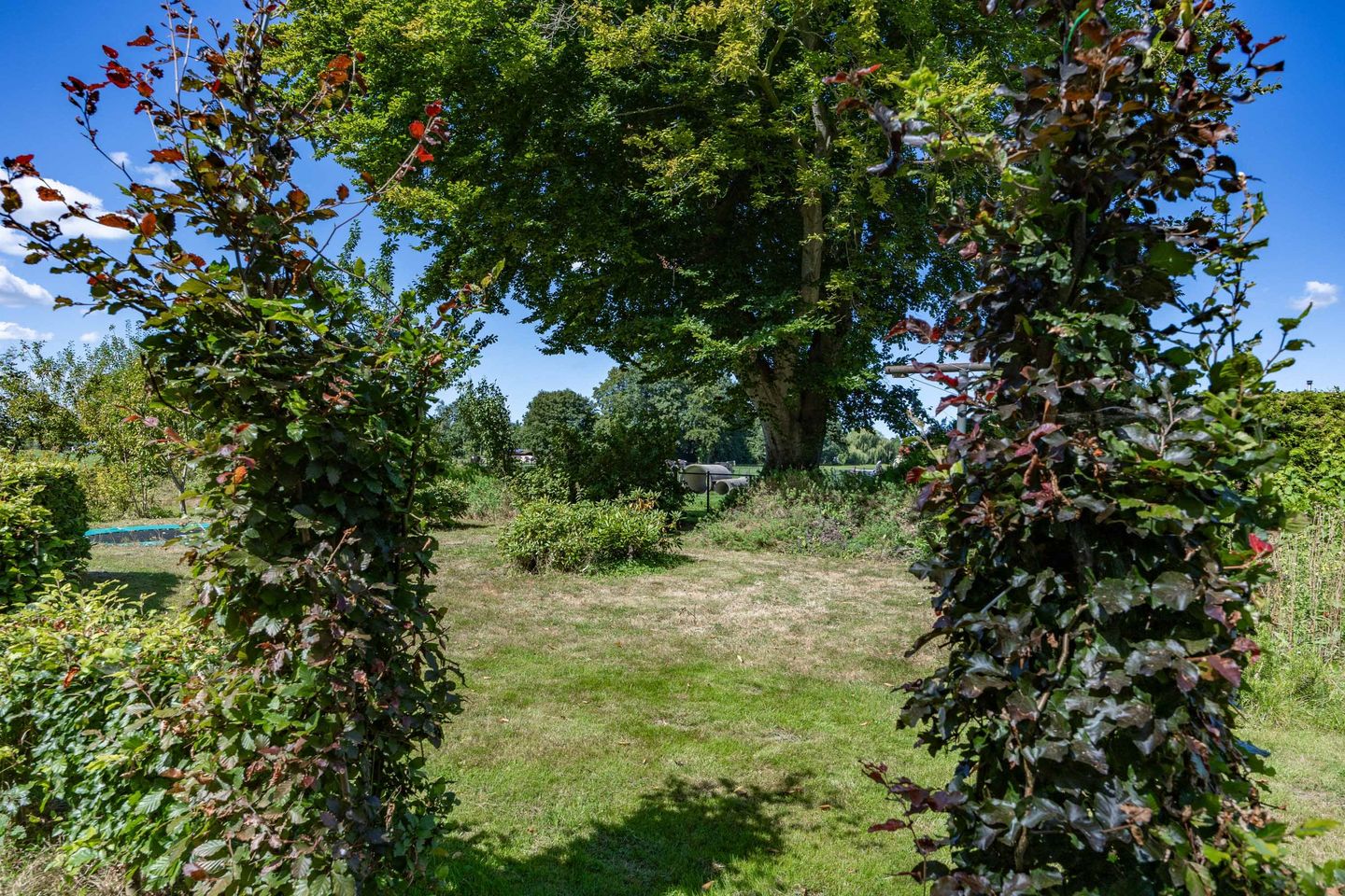 Photo 94 of Boelewijk 5