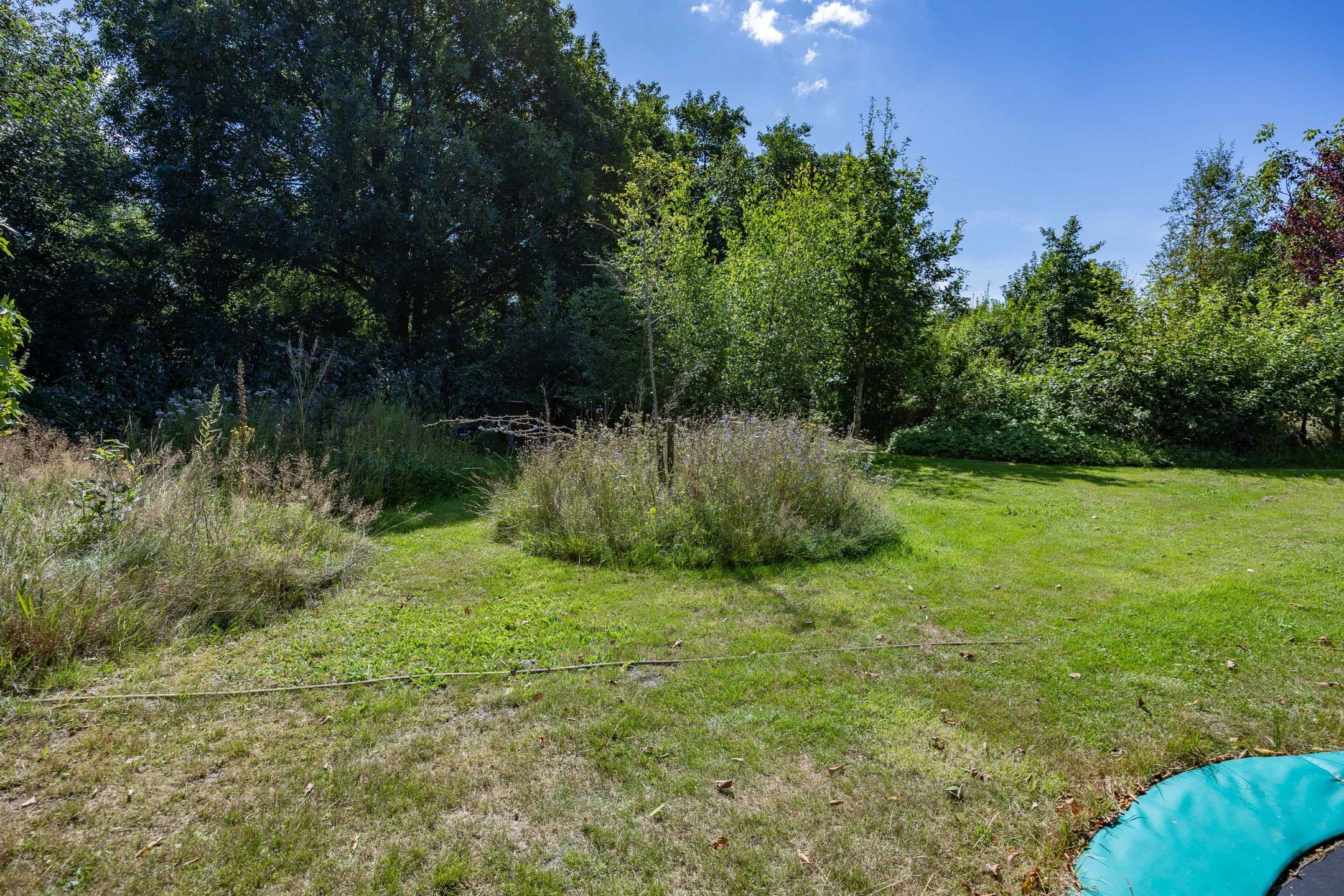 Photo 96 of Boelewijk 5
