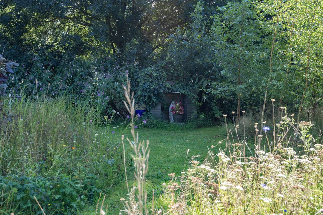 Photo 97 of Boelewijk 5
