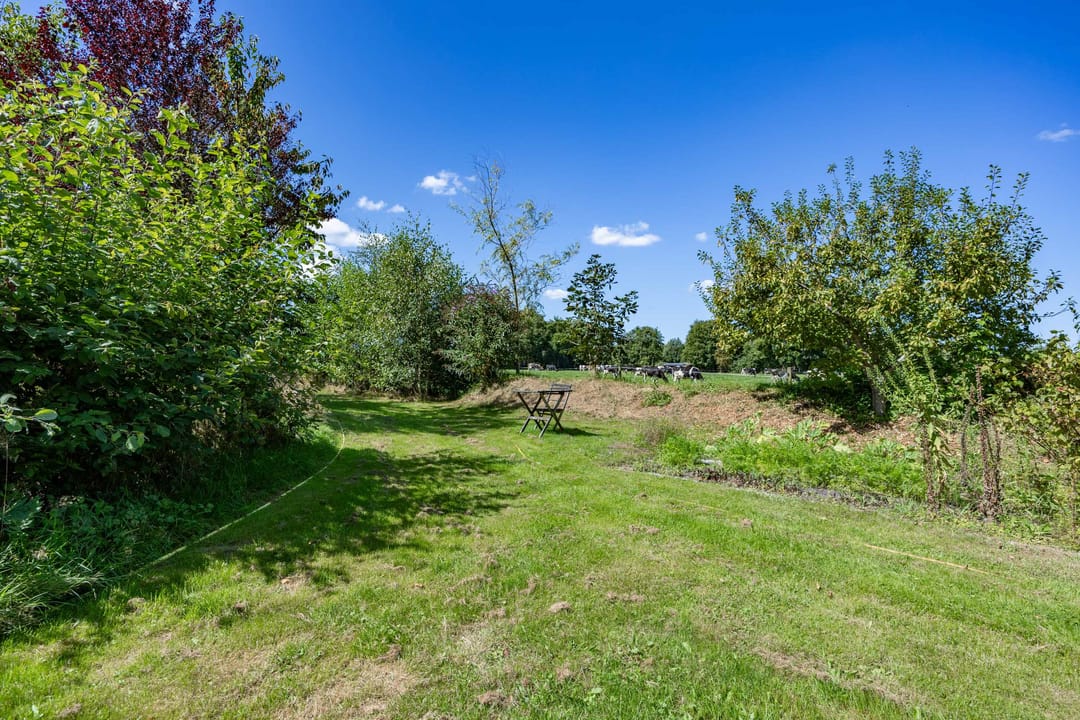 Photo 98 of Boelewijk 5
