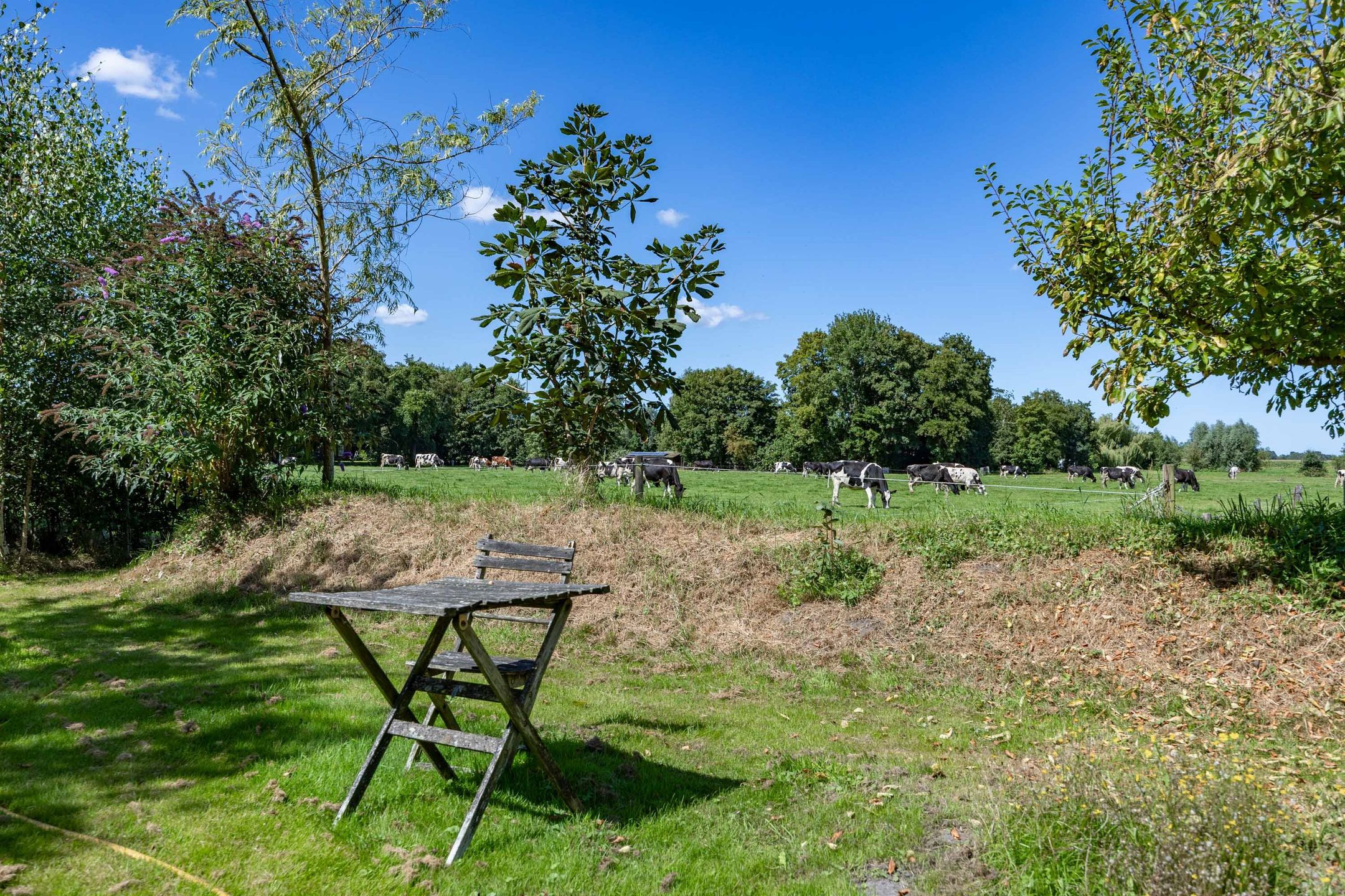 Photo 99 of Boelewijk 5