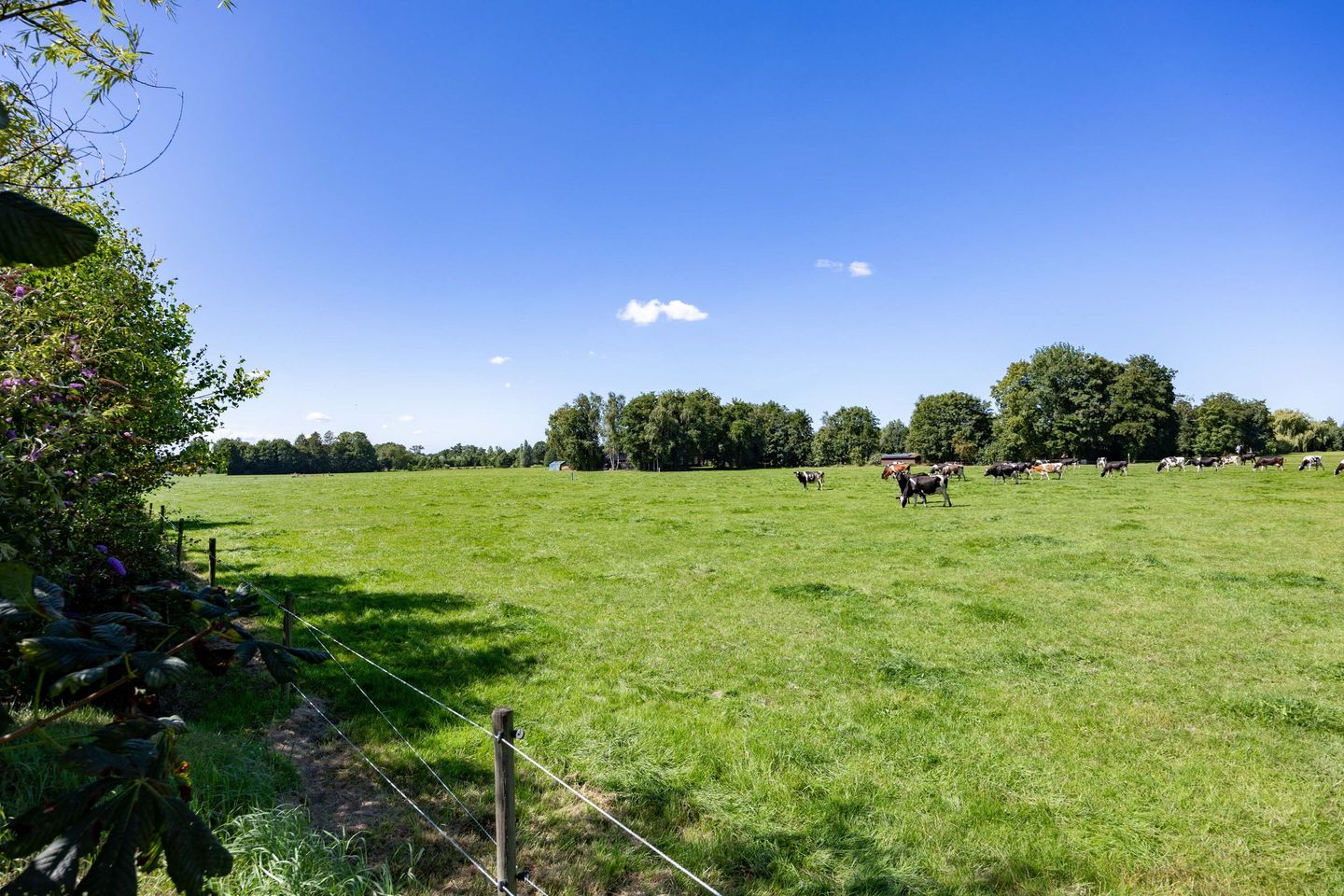Photo 100 of Boelewijk 5