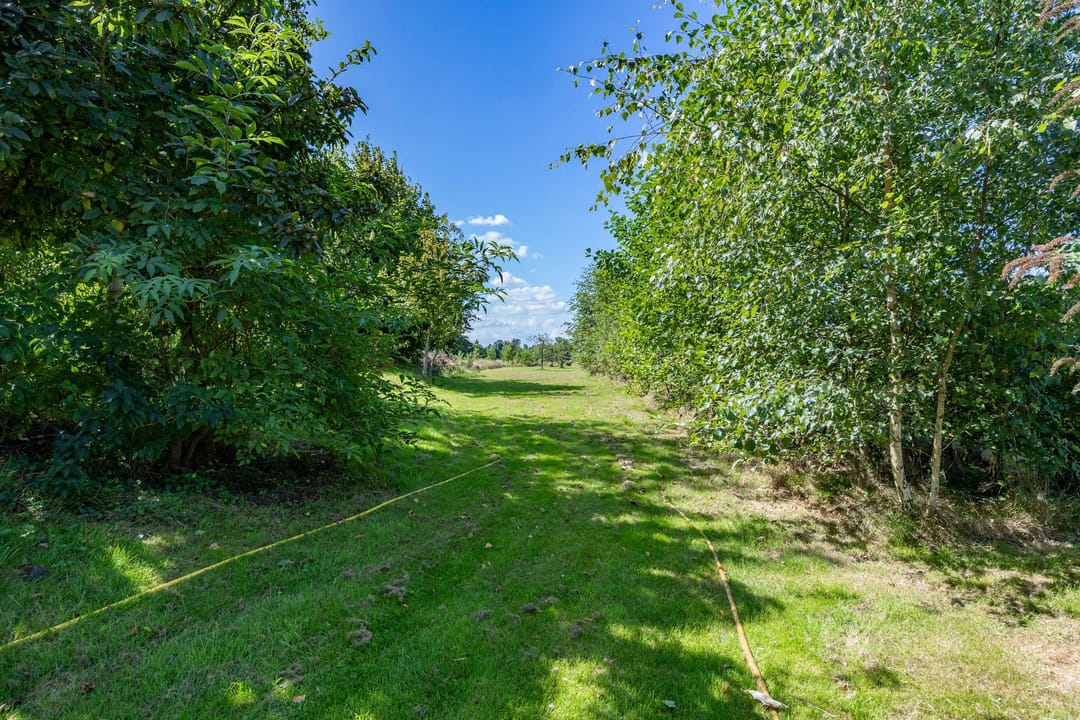 Photo 101 of Boelewijk 5