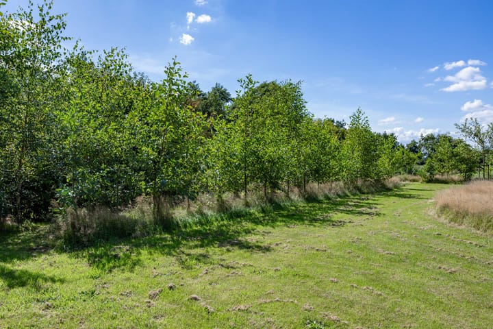 Foto 105 van Boelewijk 5