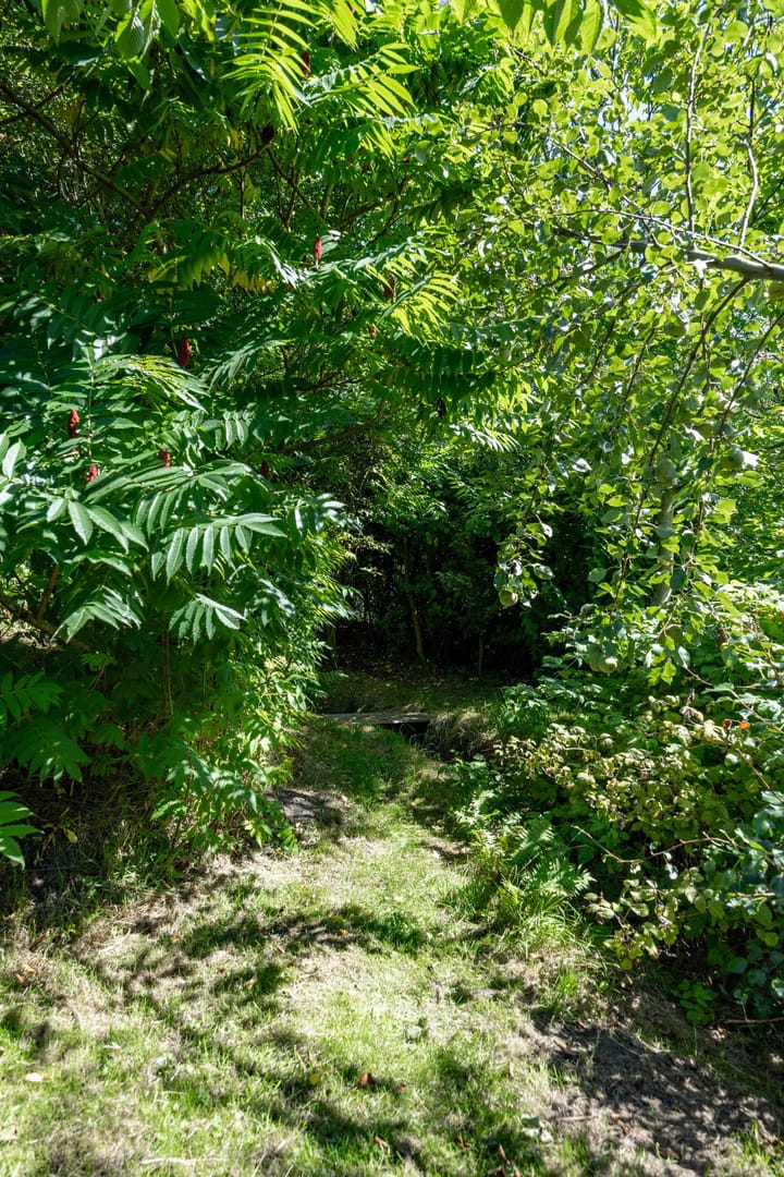 Foto 108 van Boelewijk 5