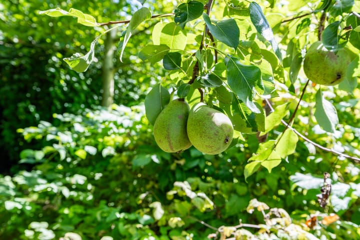 Foto 109 van Boelewijk 5